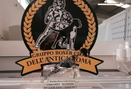 trofeo personalizzato in plexiglass 